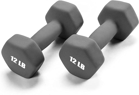 Set of 2 dumbbell hand weights, 12-Pound, Pair