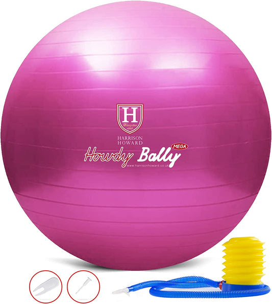 Anti-explosion horse soccer ball. 25". Magenta