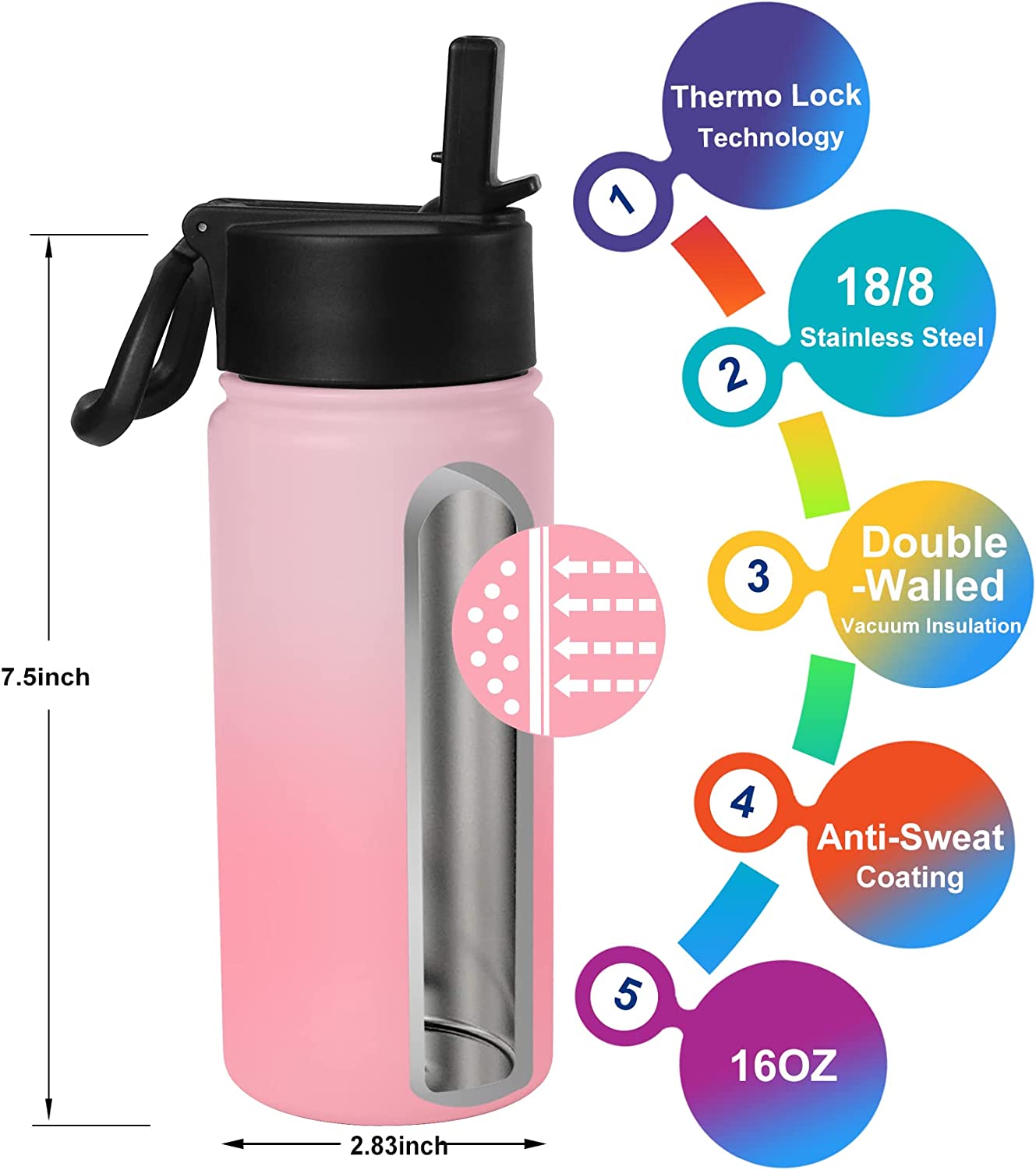 Vacuum Insulated Water Bottle (Pink, 16oz)