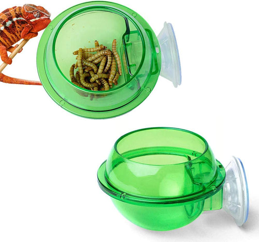 Reptile food accessories, Glass