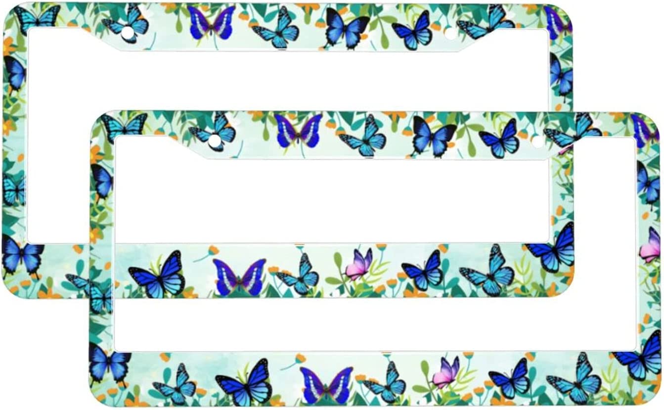 Blue Butterflies License Plate Frame Holders - 2 Pack