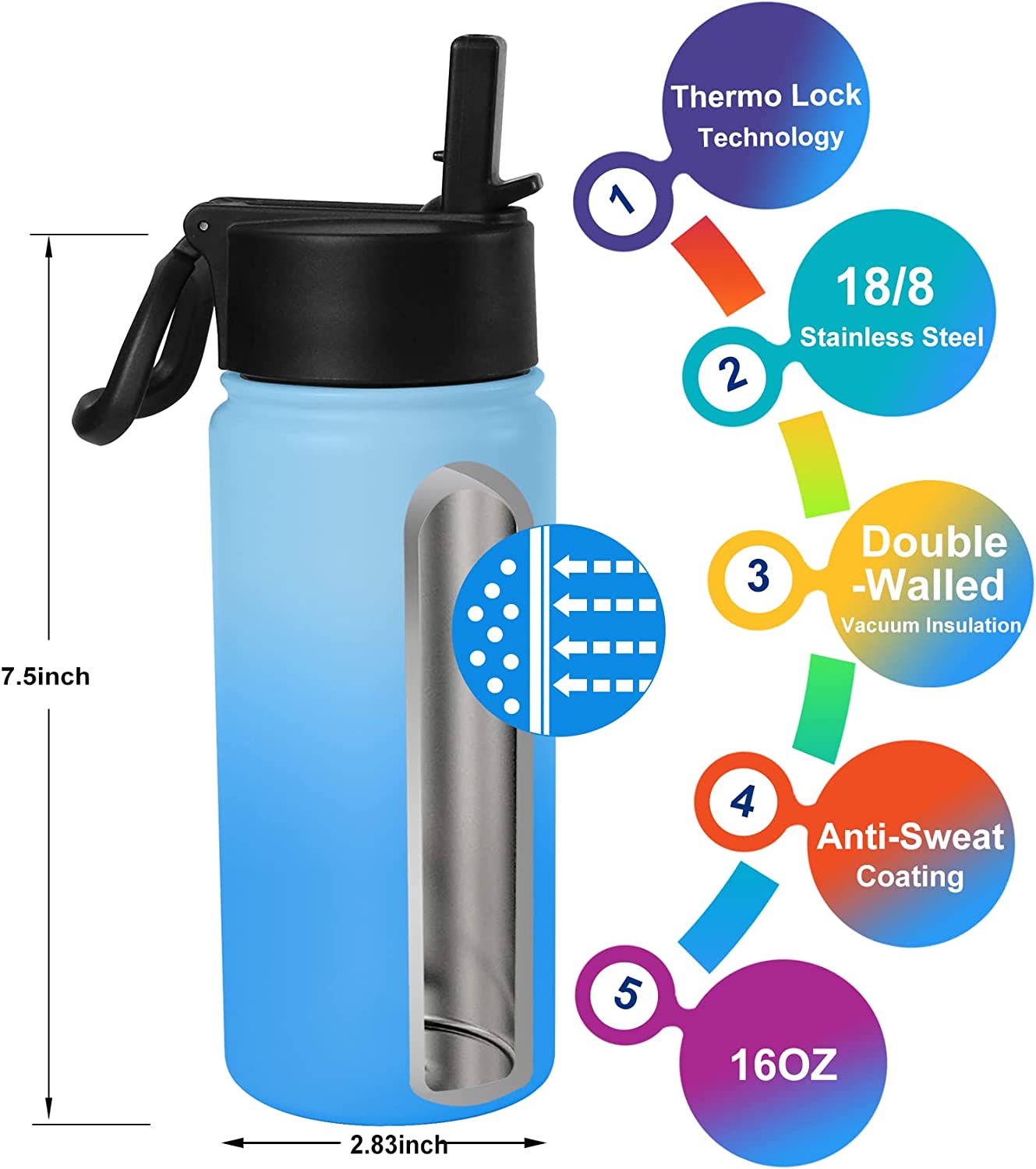 Vacuum Insulated Water Bottle (Blue, 16oz)