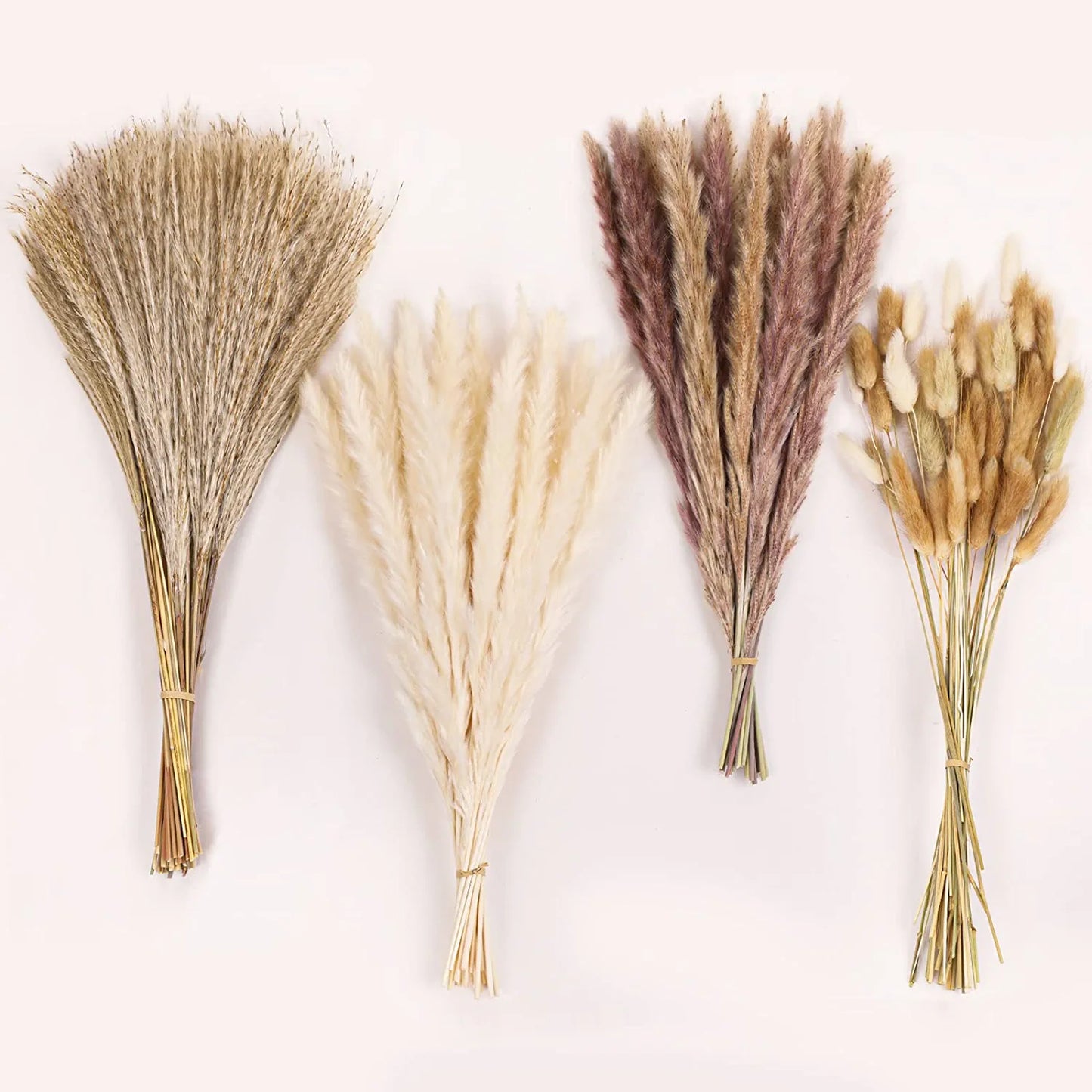 Pampas Grass 110 PCS