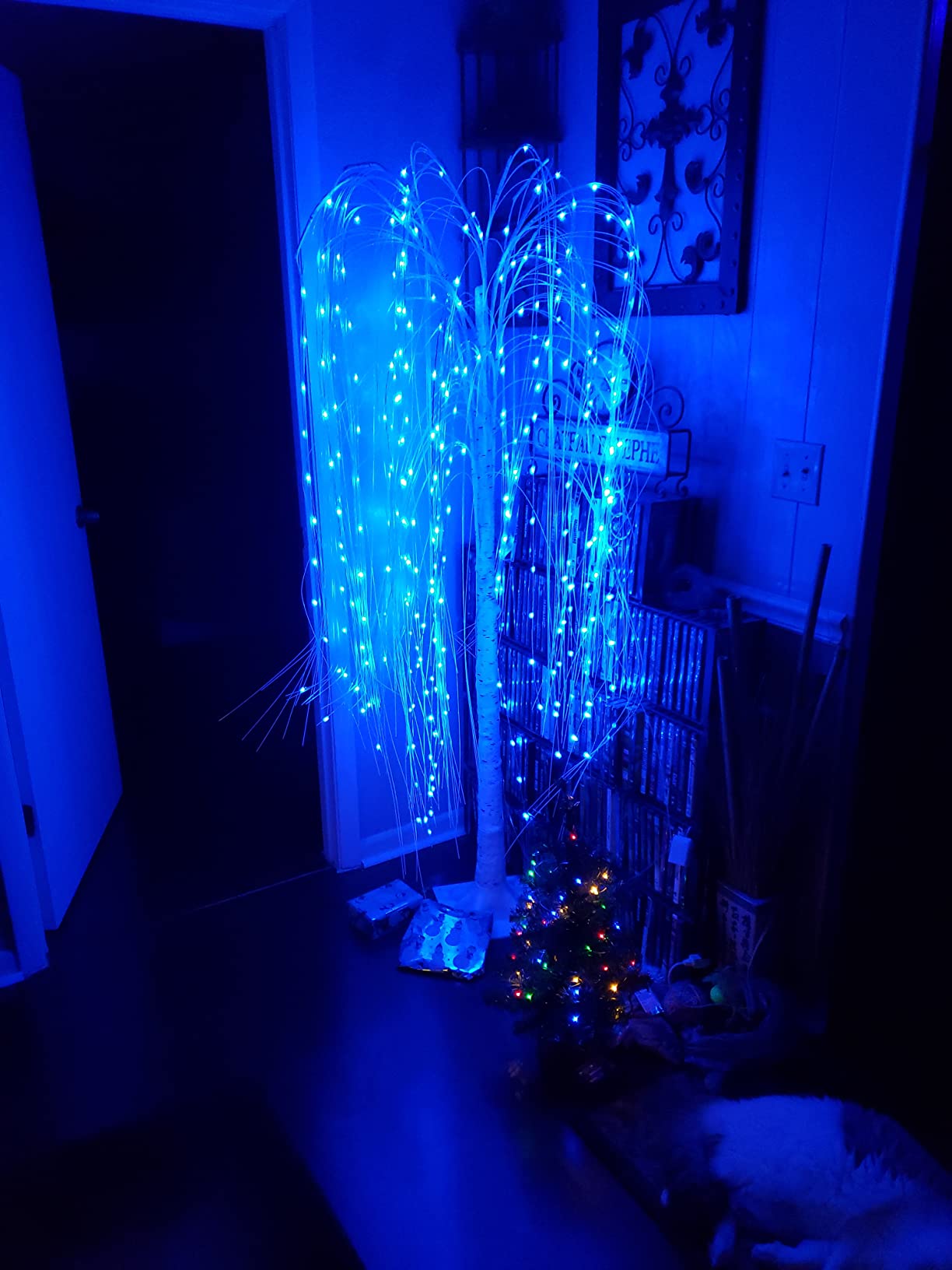 6 Foot Color Changing Lighted Willow Tree, Multicolor