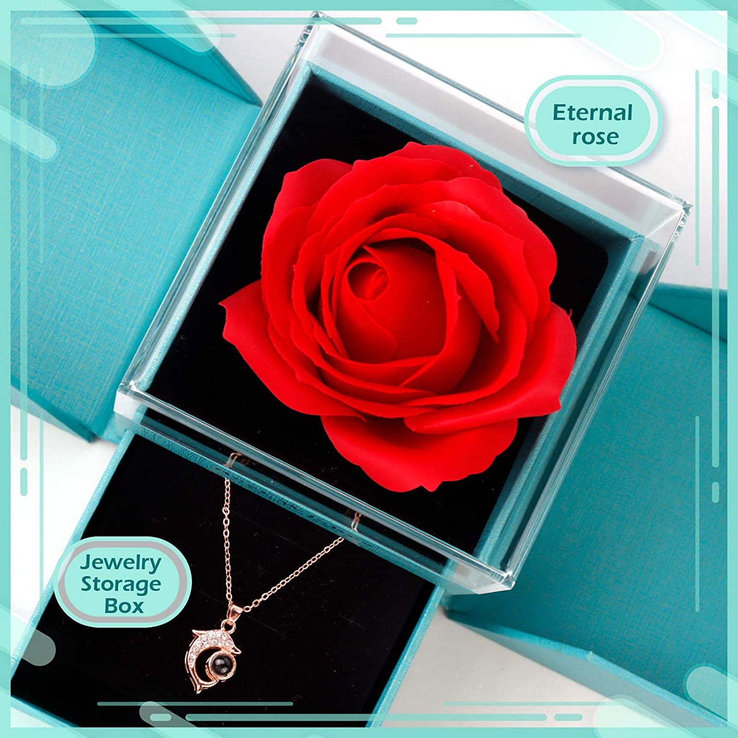 Preserved Rose, Valentine's Day Jewelry with Necklace