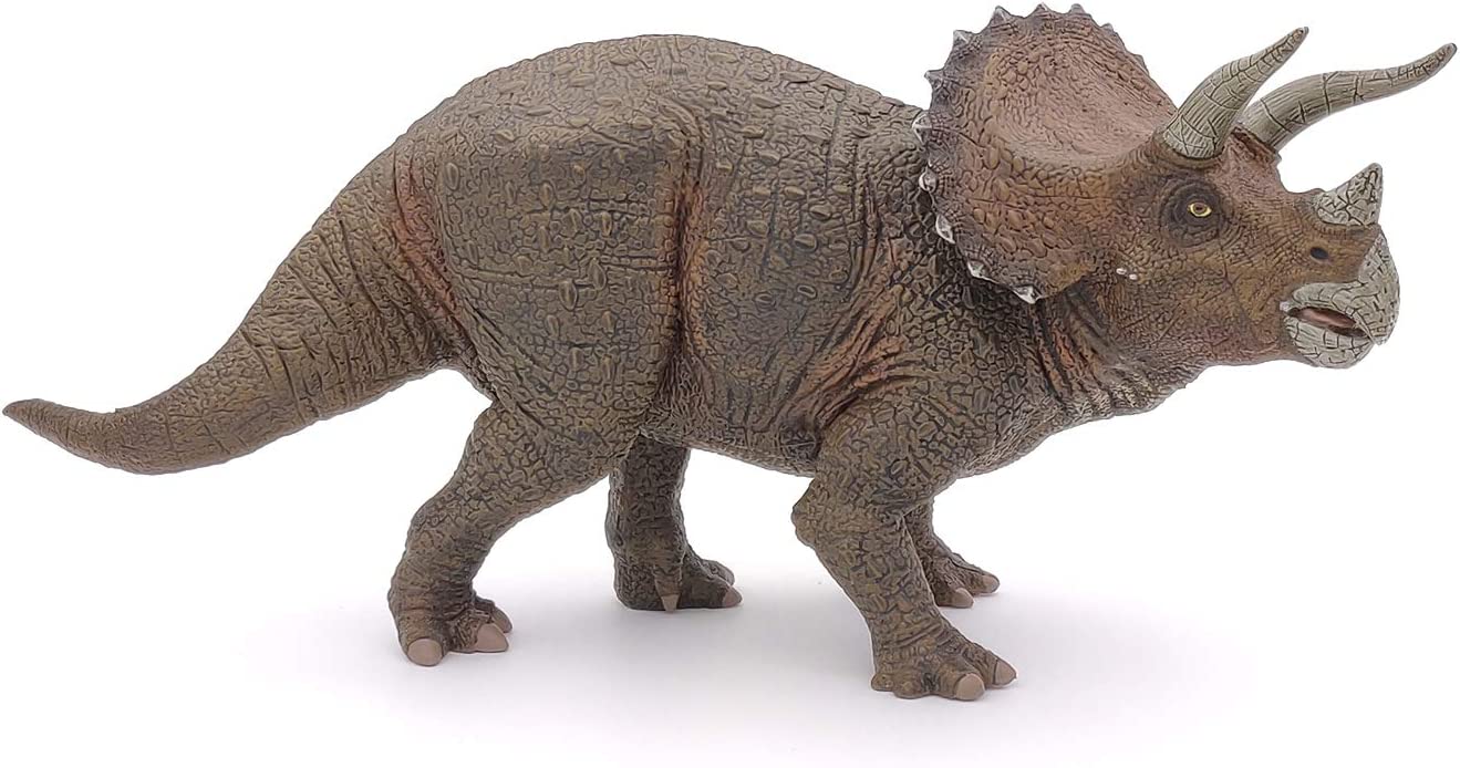 The Dinosaur Figure, Triceratops