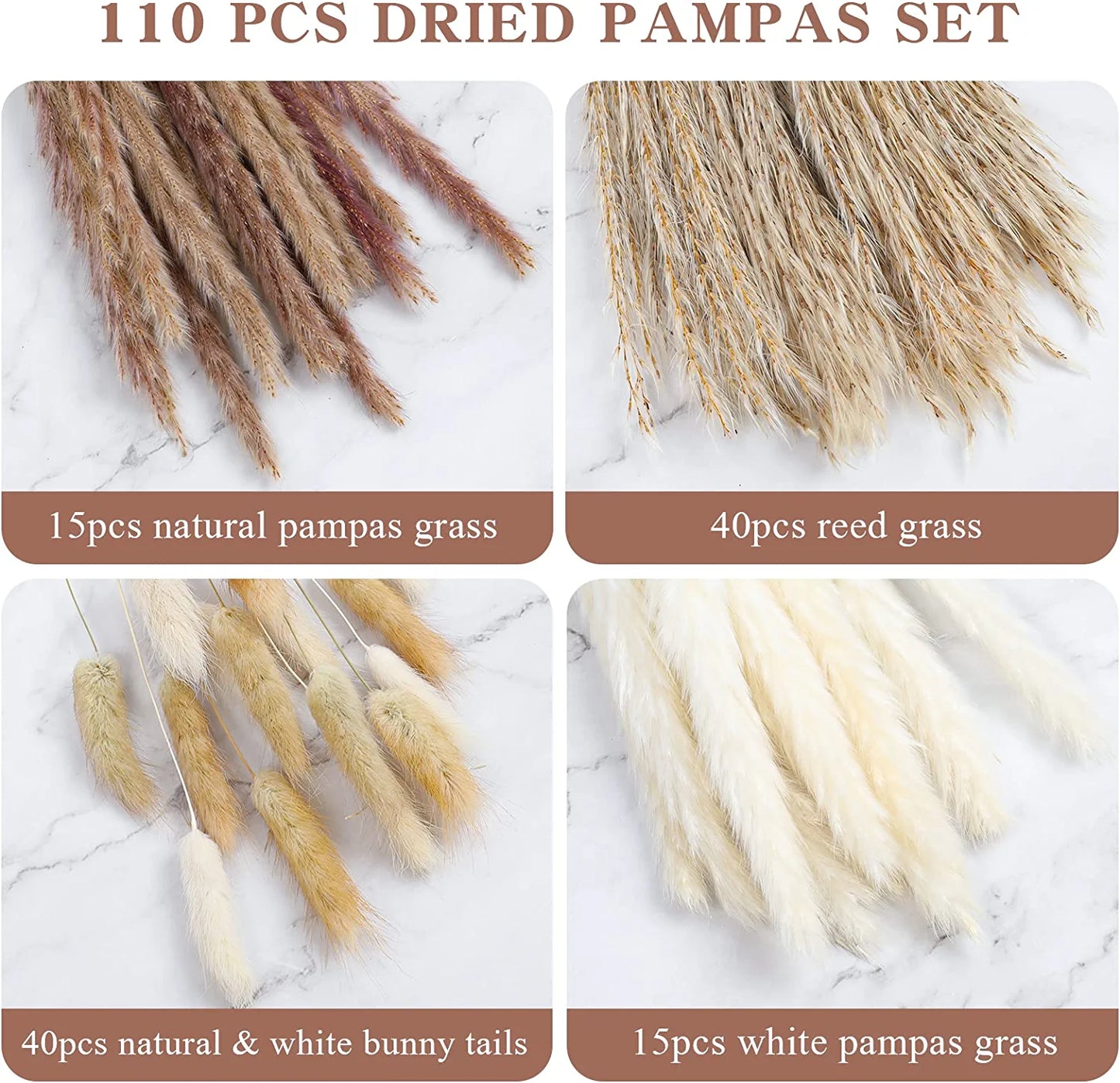 Pampas Grass 110 PCS