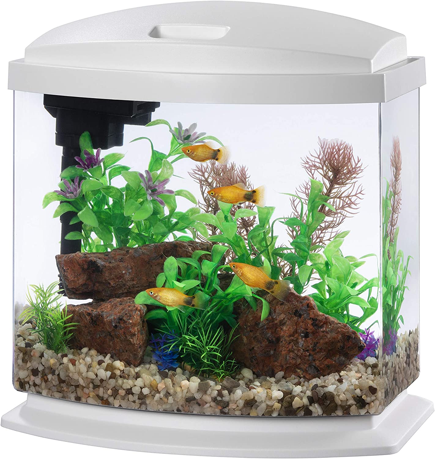 fish tank with led light, cleaning filter, White