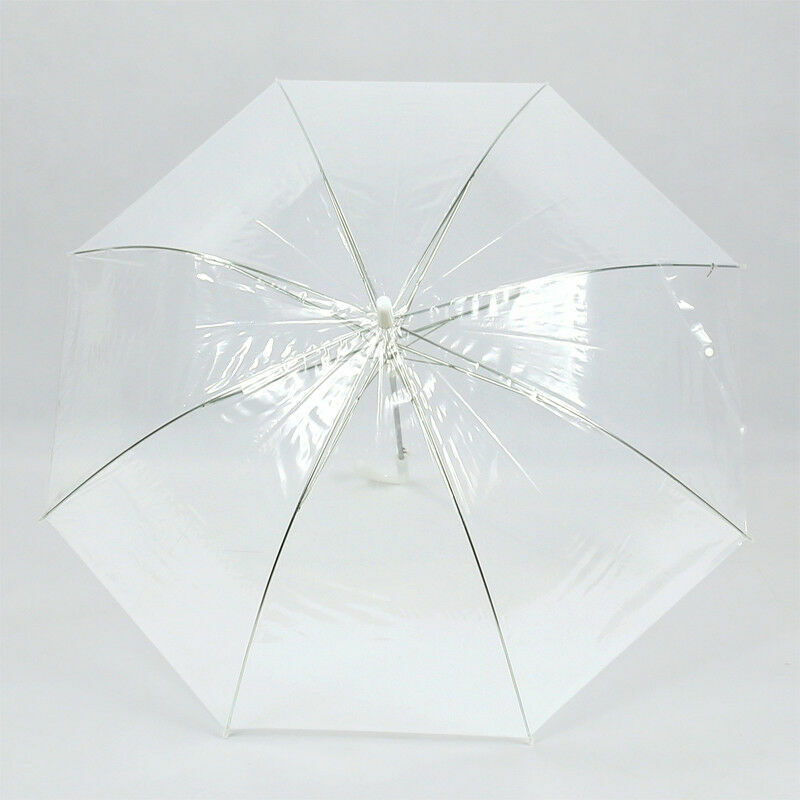 Portable transparent umbrella