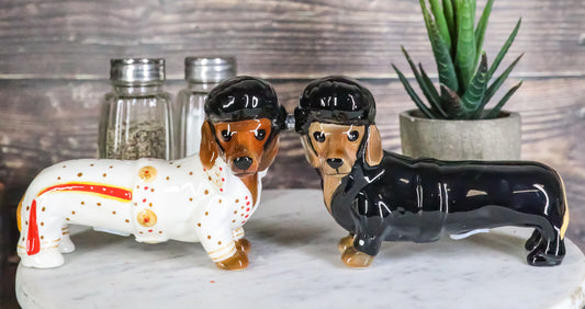 Set of dogs salt shaker, pepper shaker, vintage decoration