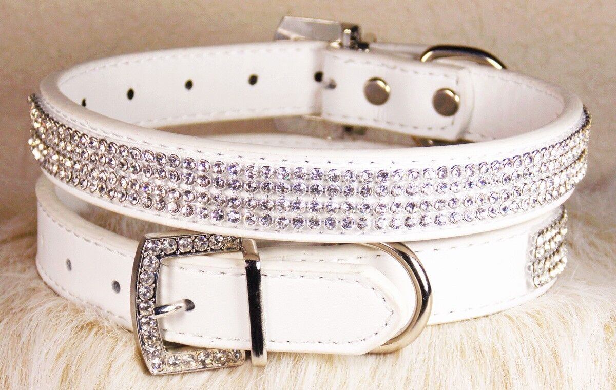 Leather Collar, Color (White Base)