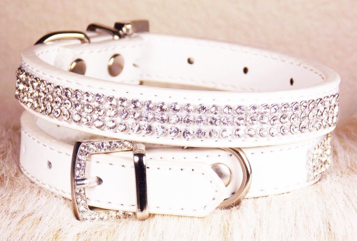 Leather Collar, Color (White Base)