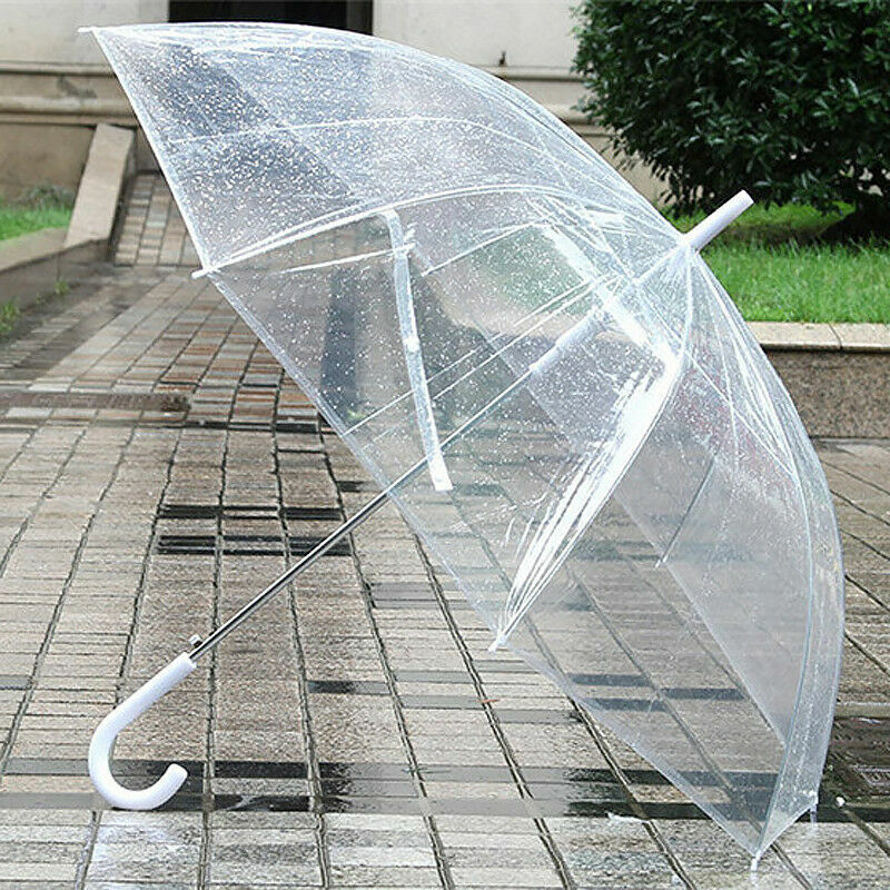 Portable transparent umbrella