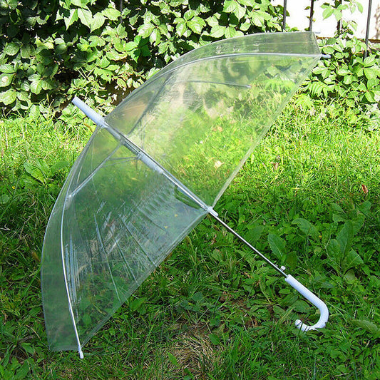 Portable transparent umbrella